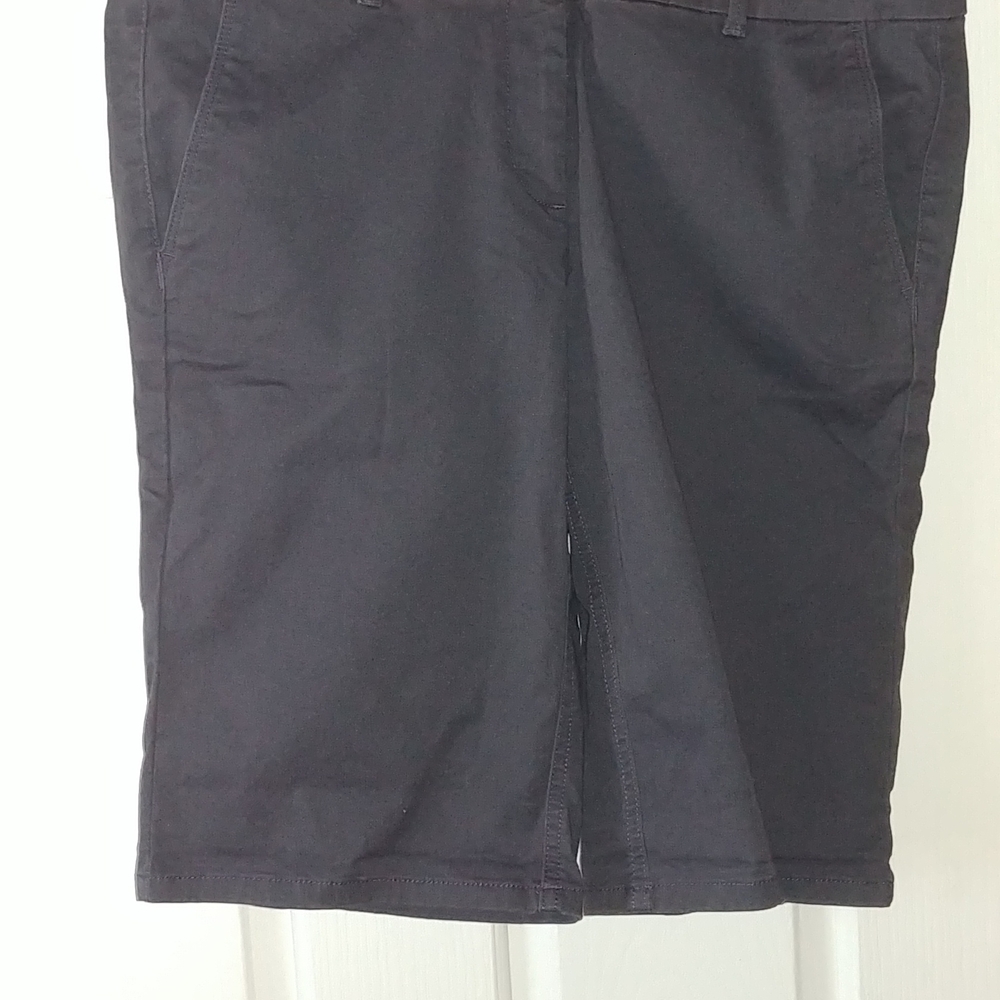 Loft shorts